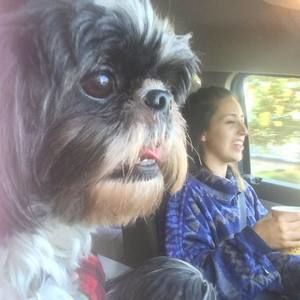 Meet your Posher, Madison